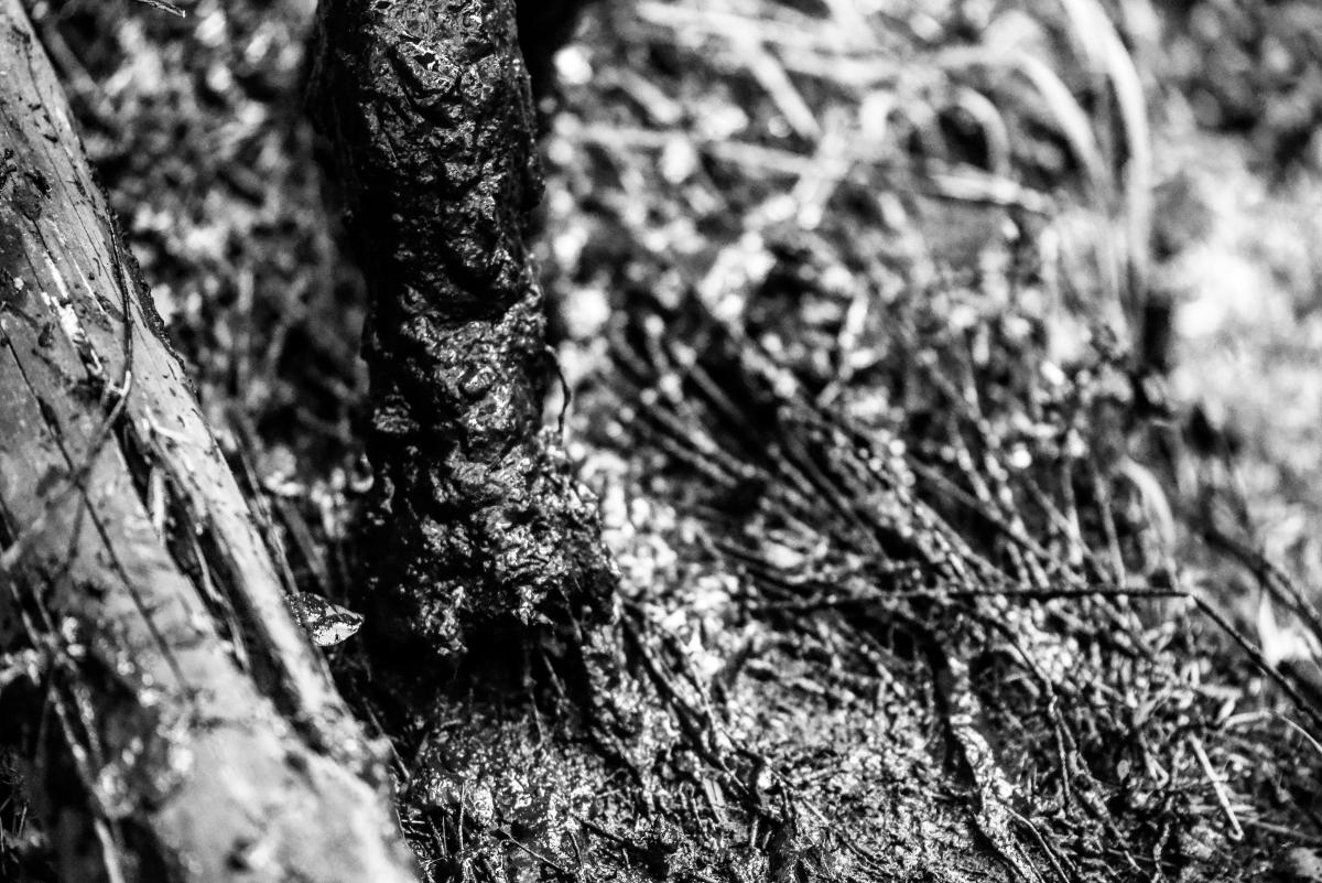 Fotografia reportażowa, Katorżnik- Czesława Włuka- Pani o czerwonych włosach