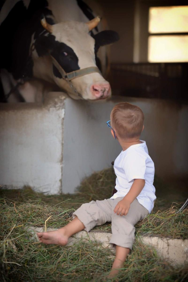 Czelawawluka.art- fotografia dziecięca, Lubliniec